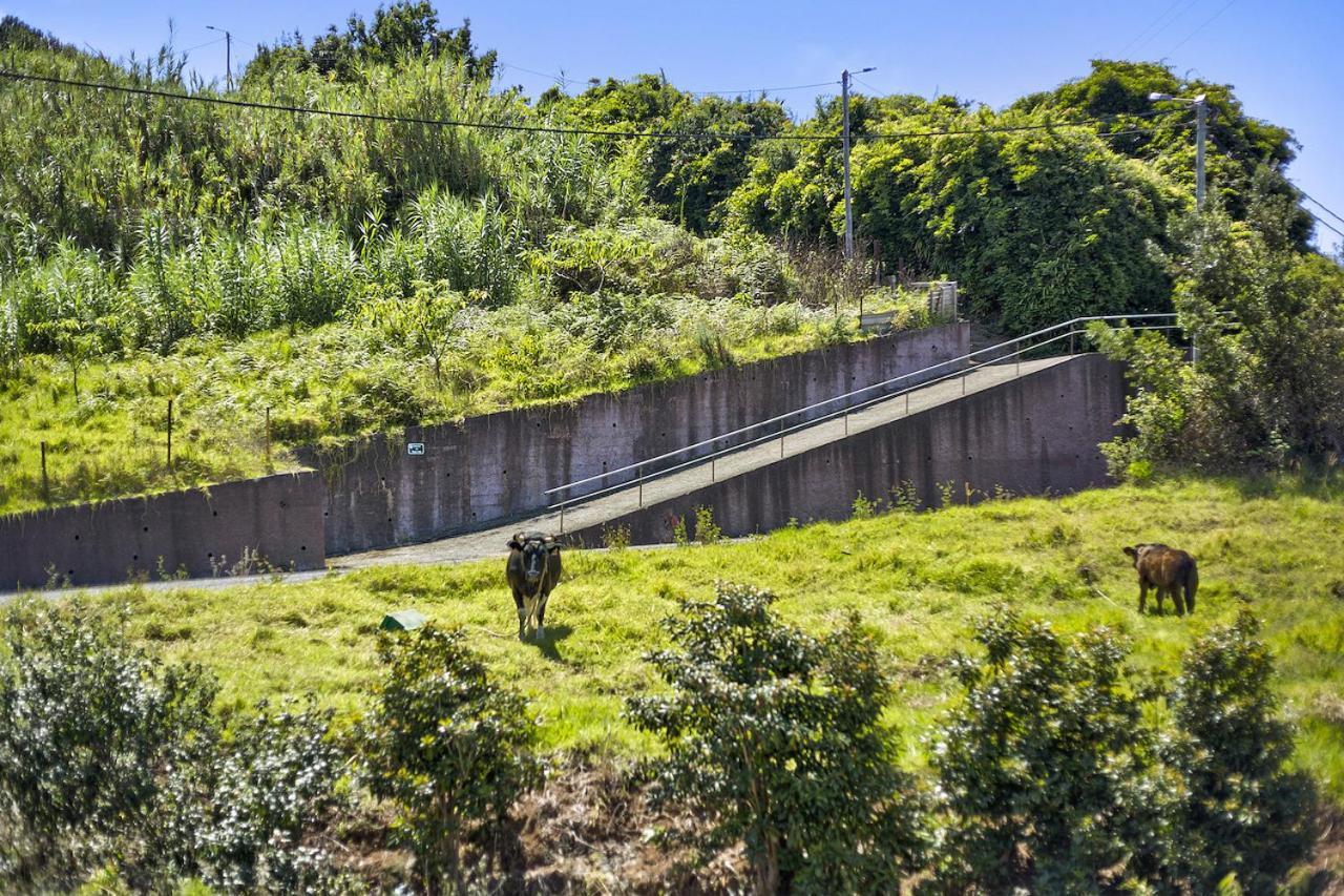 Casa Afonso Na Madeira Villa São Jorge Exteriör bild